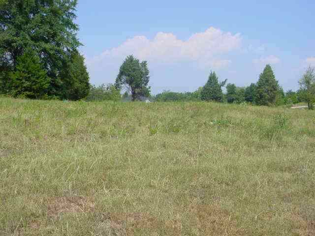 Lot 30 Brookstone Estates, Unit 135 ROUNDSTONE DR Inman, SC 29349 - Photo 7 of 9
