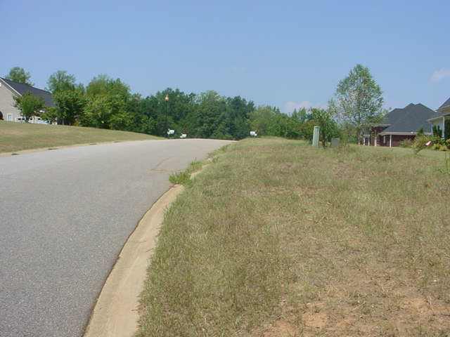 Lot 30 Brookstone Estates, Unit 135 ROUNDSTONE DR Inman, SC 29349 - Photo 9 of 9