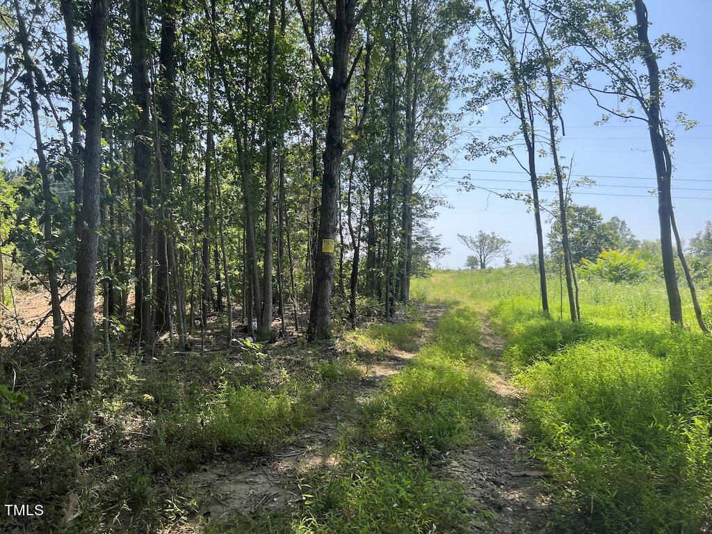 1 Virgilina Road Roxboro, NC 27574 - Photo 48 of 63 48