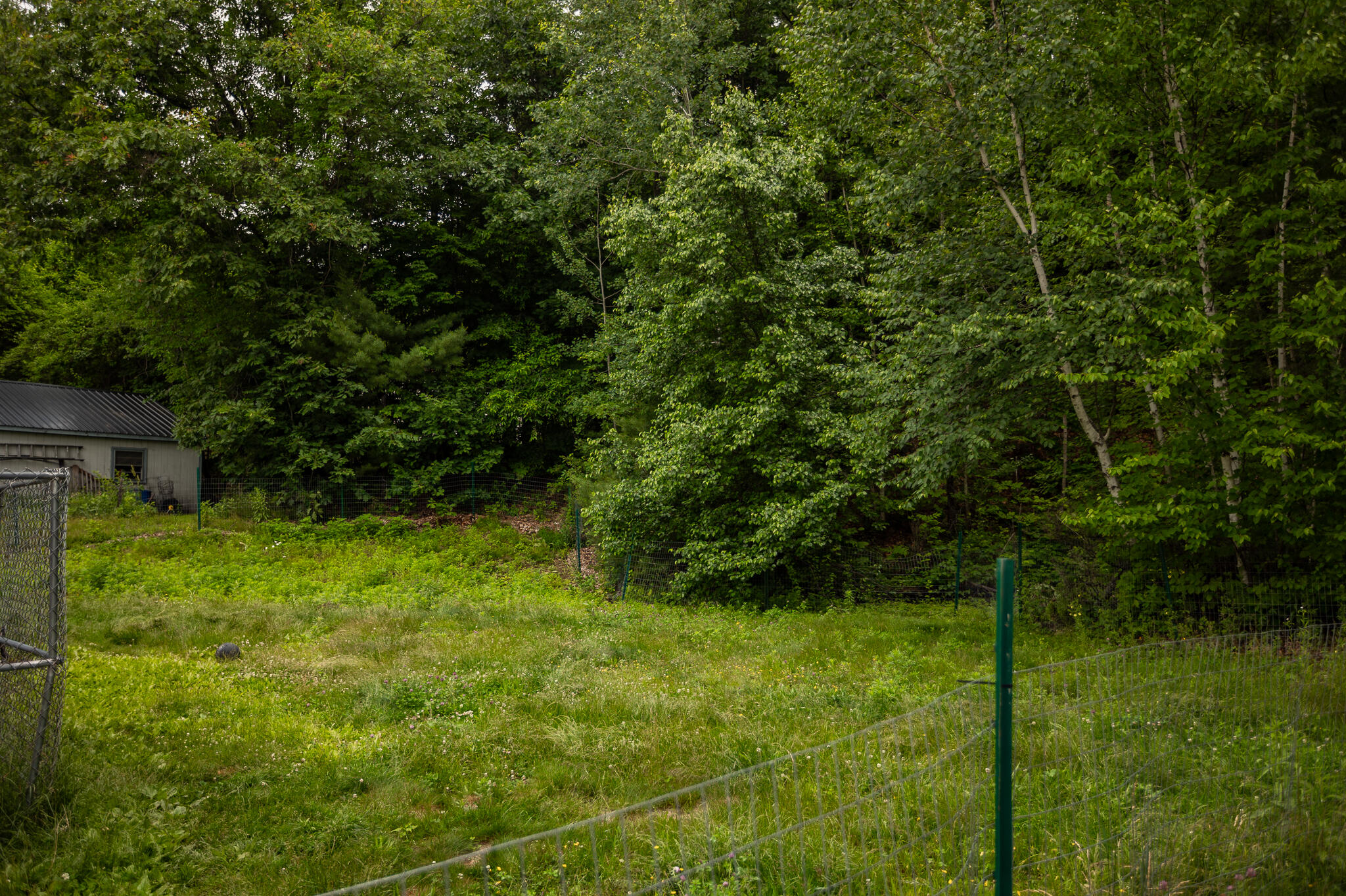 60 Summit Street Mexico, ME 04257 - Photo 13 of 15 AF6A4402