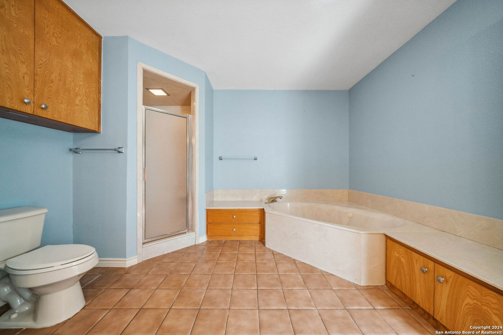 116 Bobwhite Trail Seguin, TX 78155 - Photo 13 of 23 a bathroom with a bathtub and a toilet