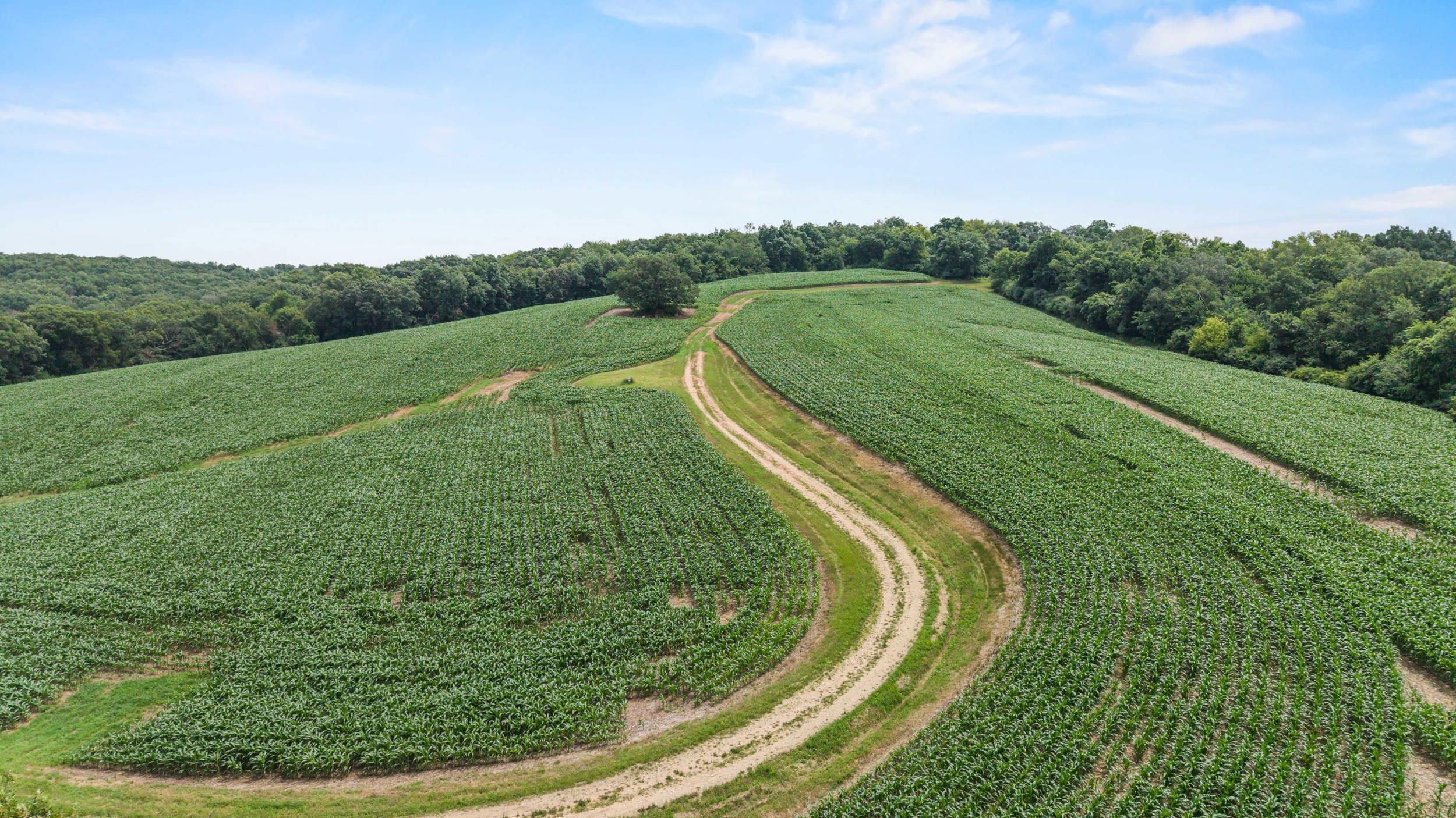 146-acres Otto Kerl Road Cross Plains, WI 53528 - Photo 4 of 20
