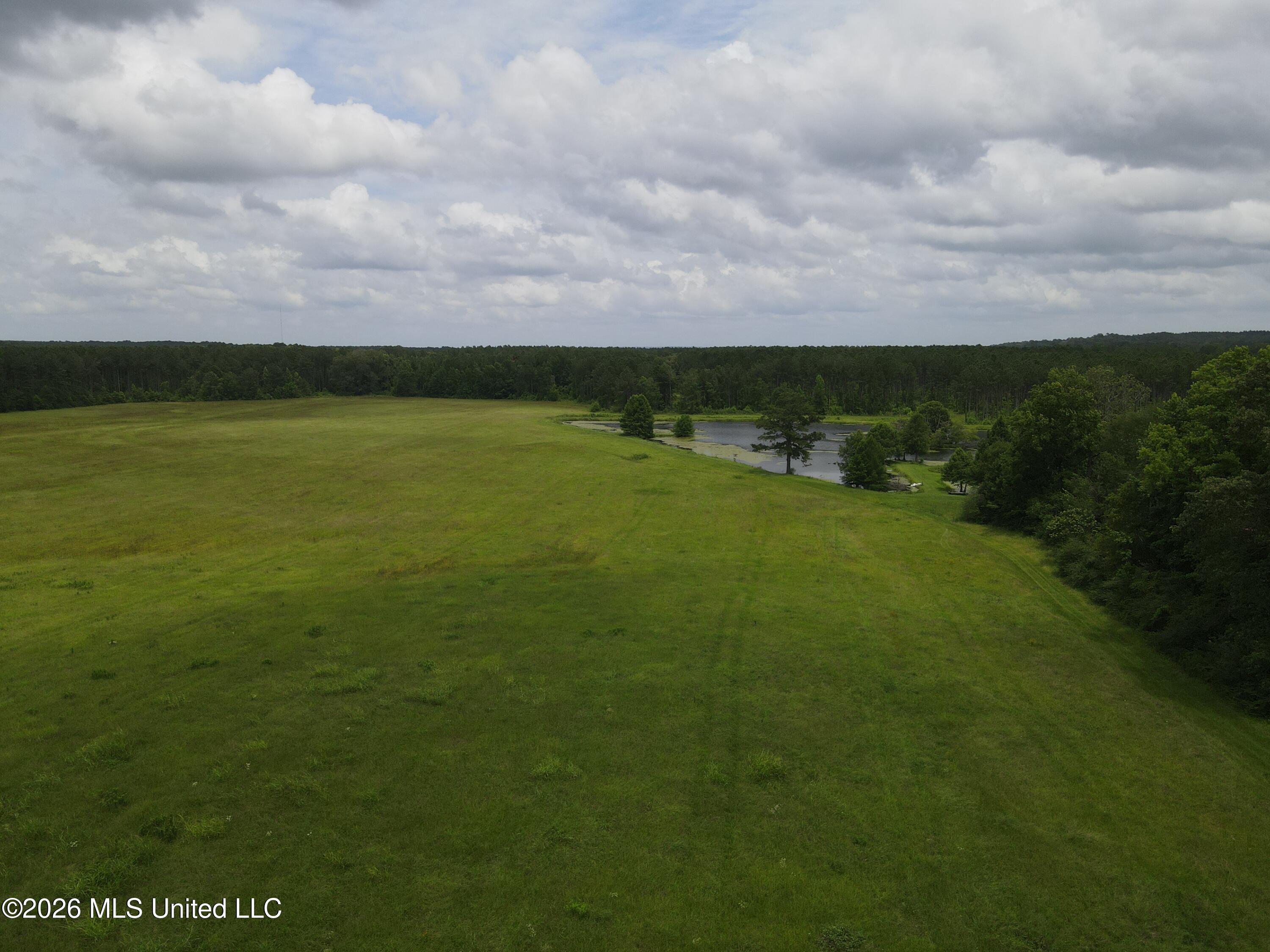 244 Foster Road Sontag, MS 39665 - Photo 47 of 105 35547