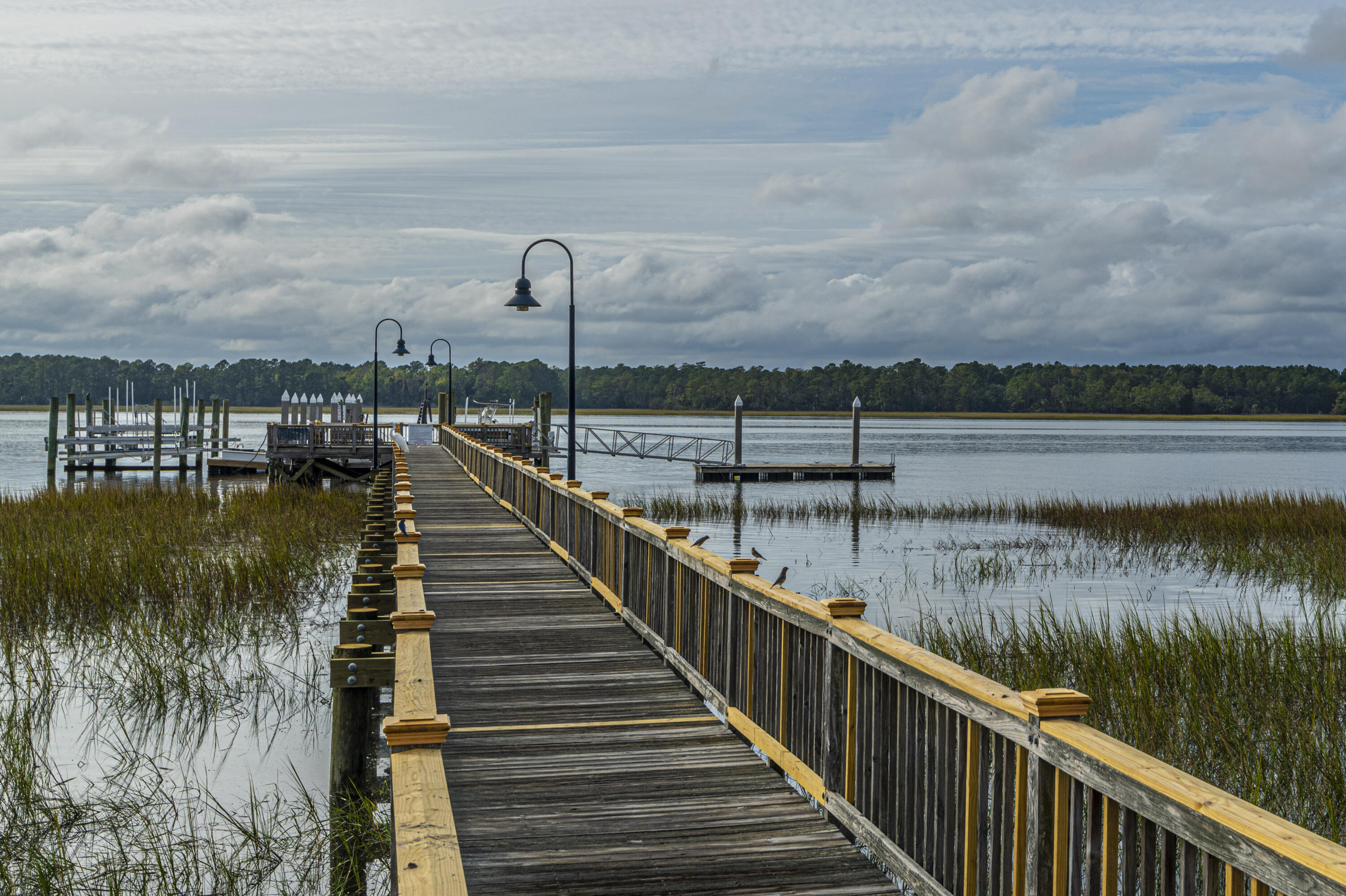 2511 Cheswick Lane Mount Pleasant, SC 29466 - Photo 58 of 60 DSC_3242