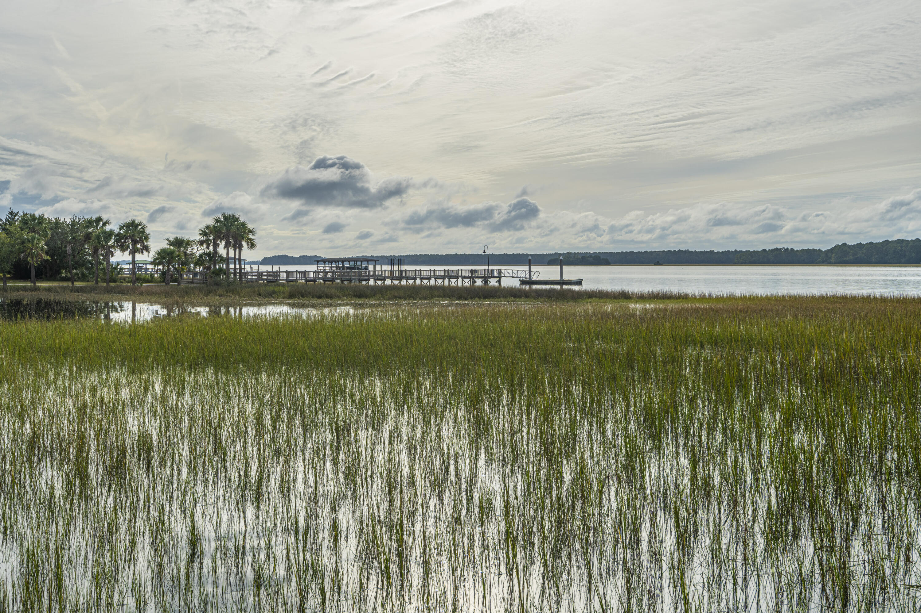 2511 Cheswick Lane Mount Pleasant, SC 29466 - Photo 60 of 60 DSC_3246