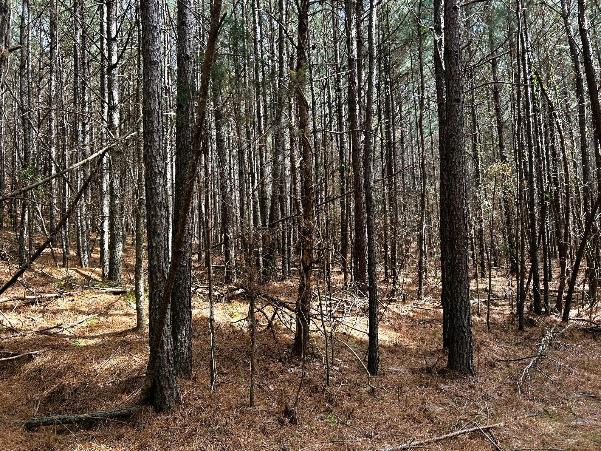 7 Southwest Owl Hollow Road McDonald, TN 37353 - Photo 25 of 32