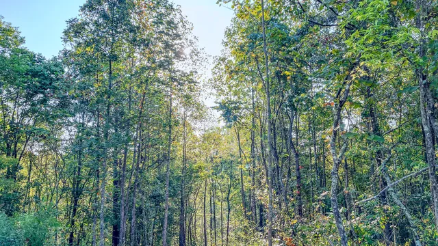 $494,550 | 0 Highway 232 South, Stewart, TN 37175