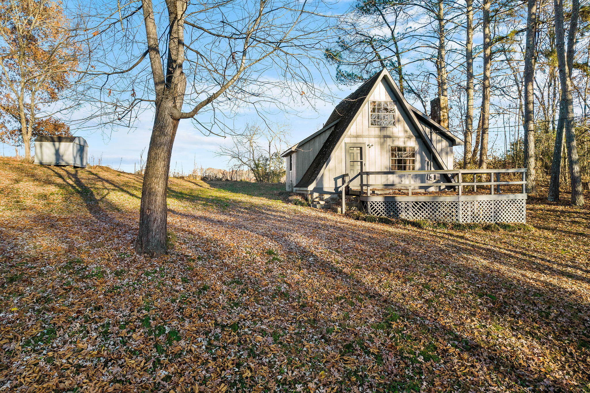 526 Ernie Roberts Road Rutledge, TN 37861 - Photo 6 of 25 web_Ernie Roberts 2