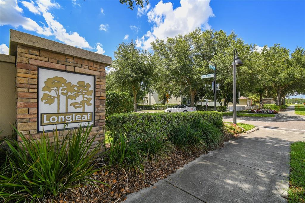 10207 Porch Street New Port Richey, FL 34655 - Photo 53 of 58