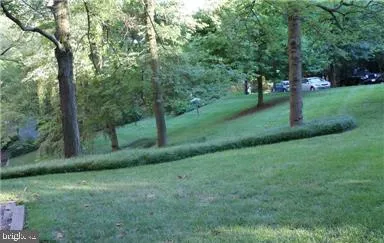 a view of a park with a tree