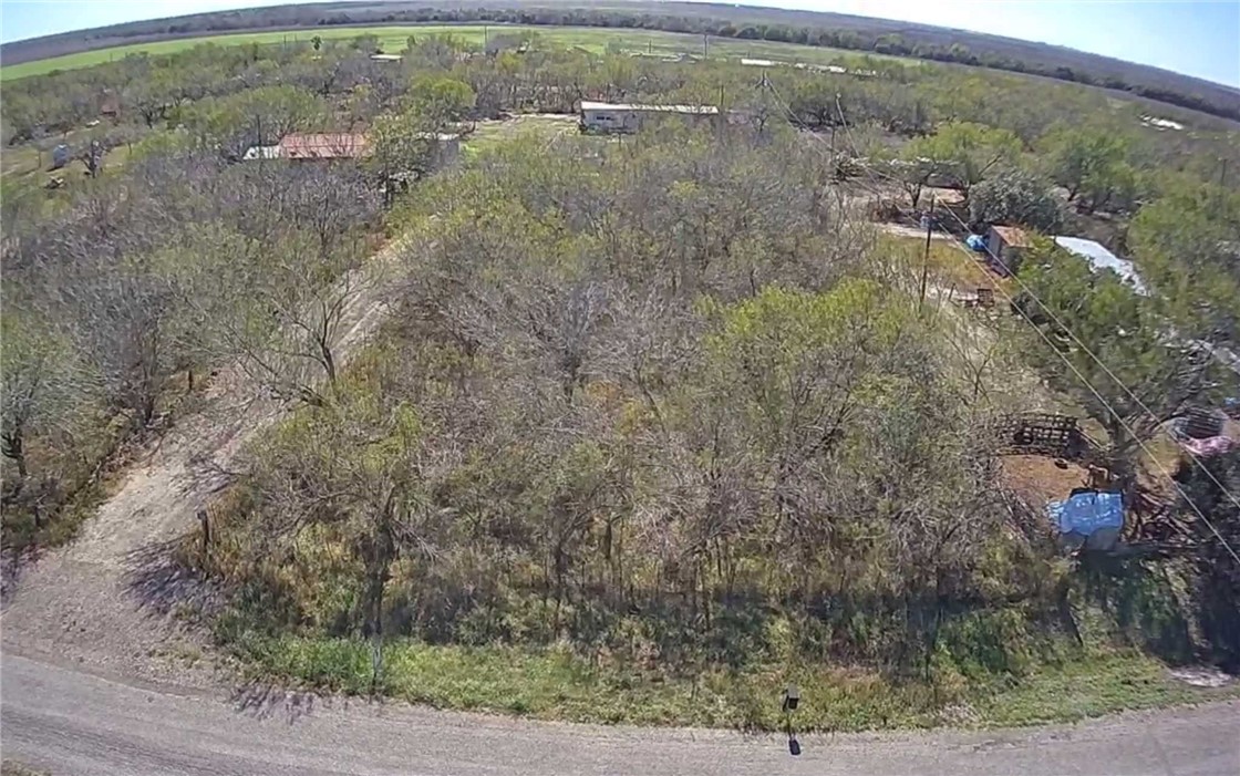 4901 Amber Road Robstown, TX 78380 - Photo 5 of 5 an aerial view of house with yard