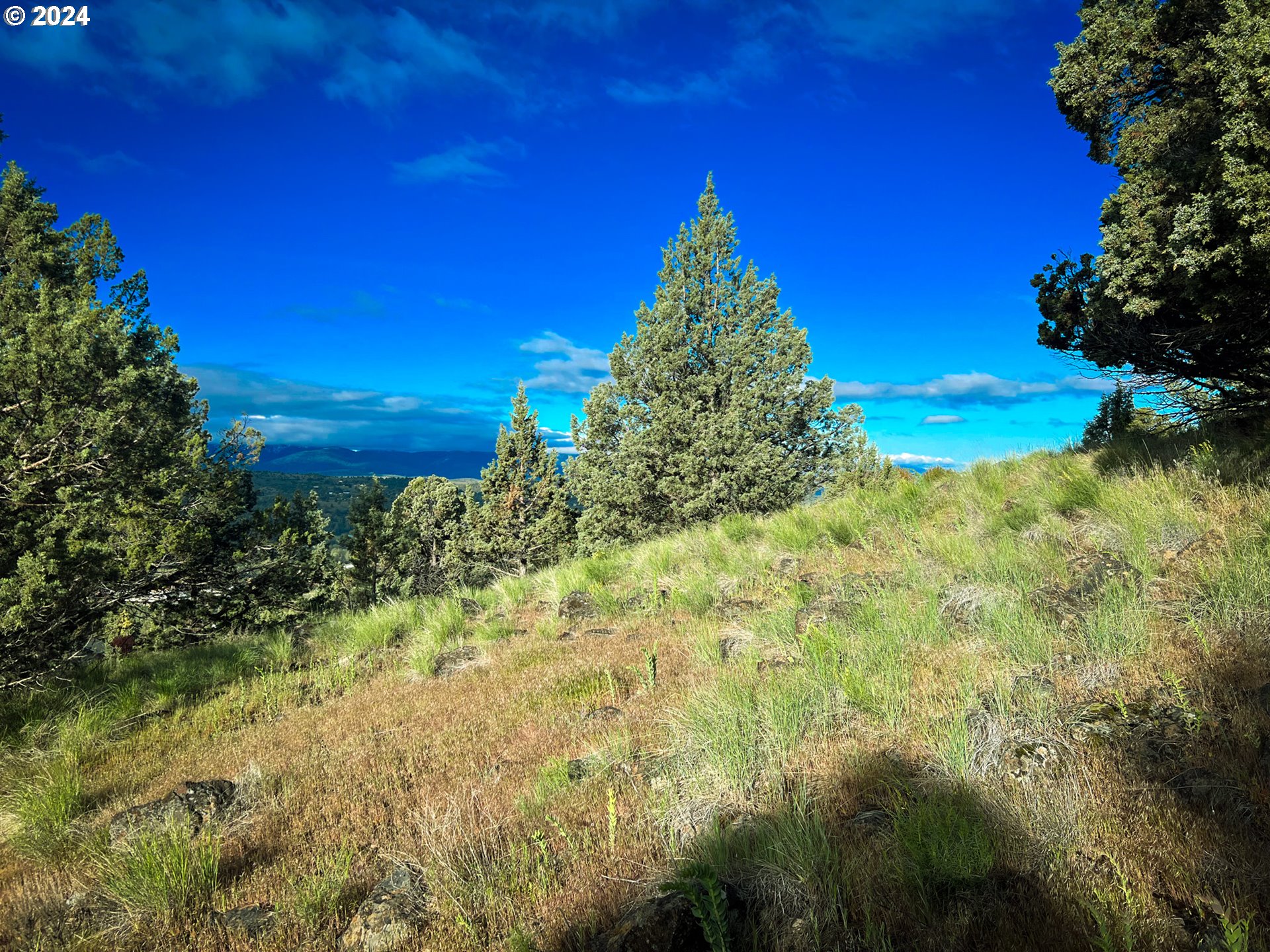 227 Valley View Drive John Day, OR 97845 - Photo 6 of 15