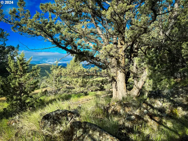 $89,000 | 227 Valley View Drive, John Day, OR 97845