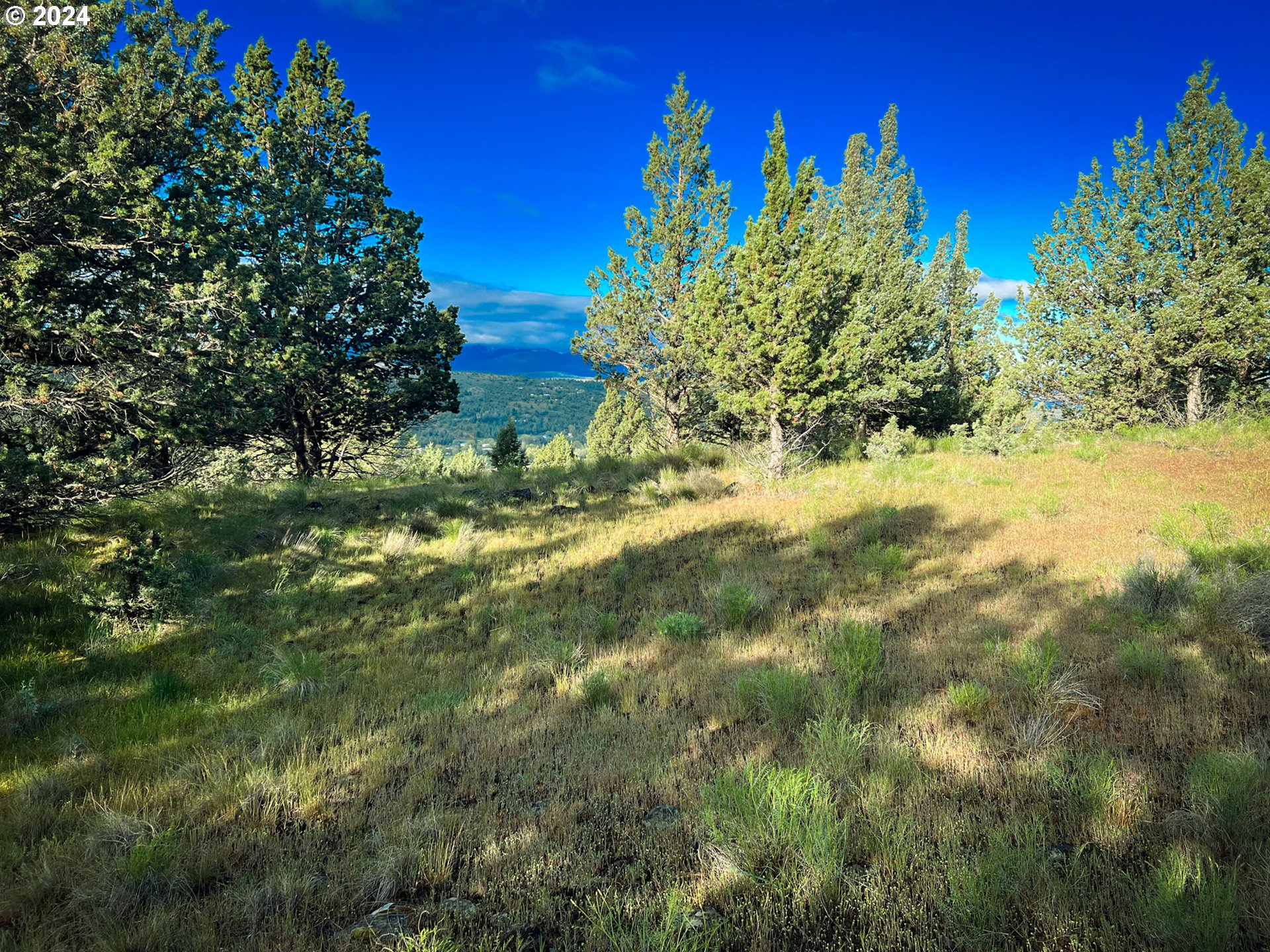 227 Valley View Drive John Day, OR 97845 - Photo 9 of 15