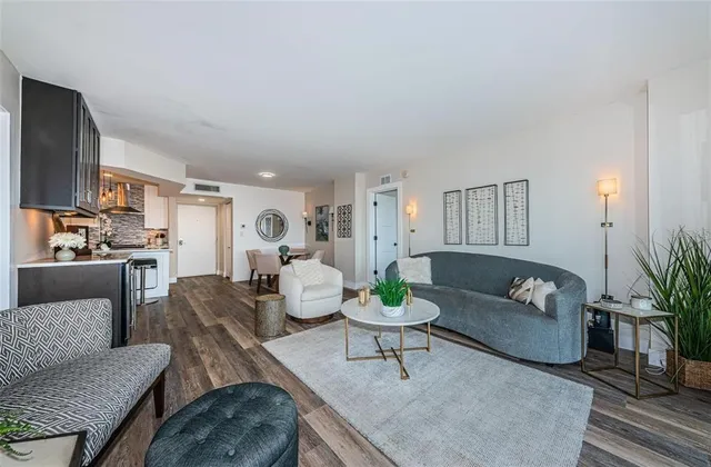 a living room with furniture or kitchen view and a potted plant