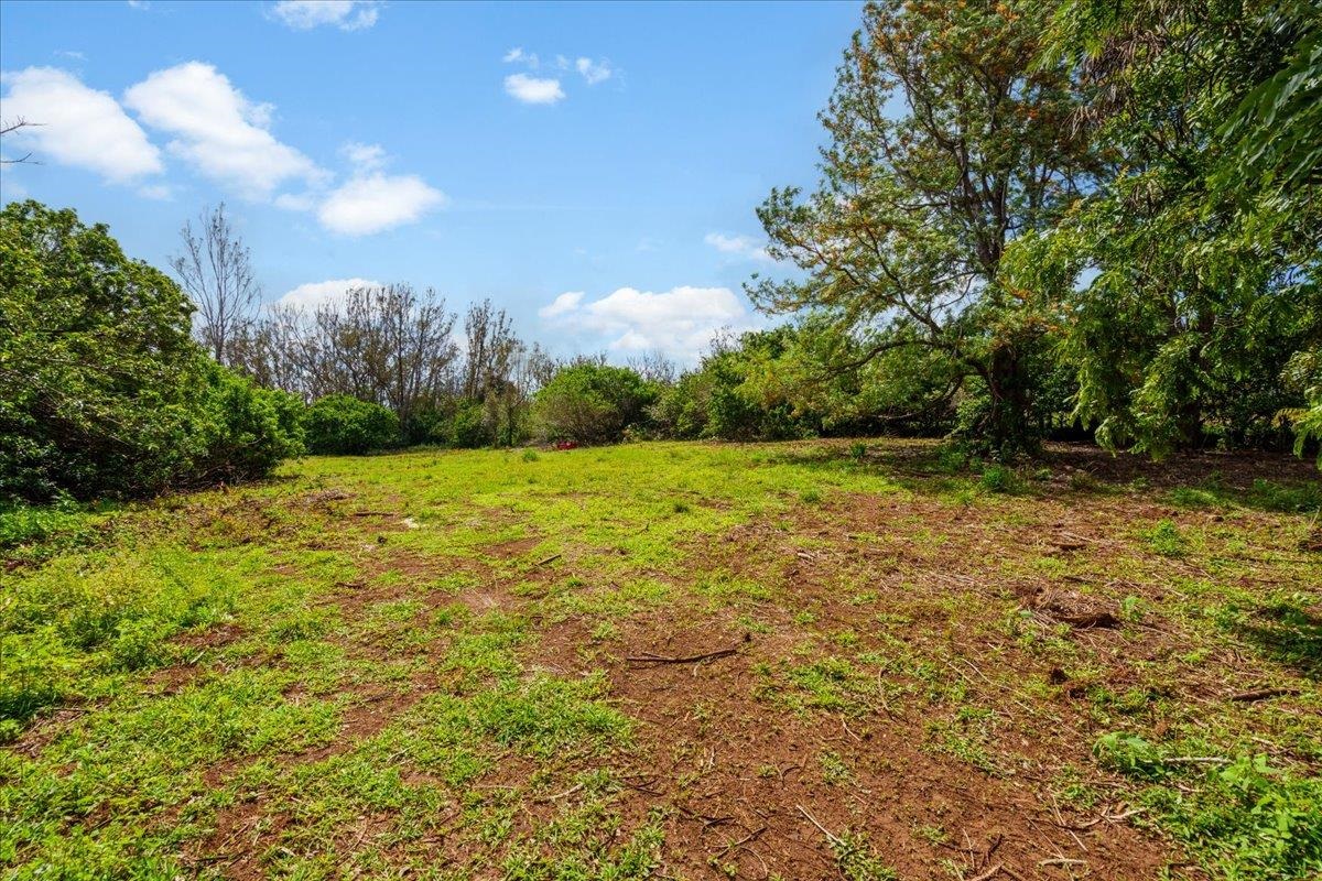 2175 Kauhikoa Road, Unit 7 Haiku, HI 96708 - Photo 8 of 21