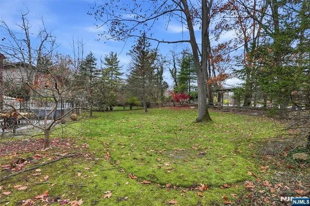 a view of a yard with a tree