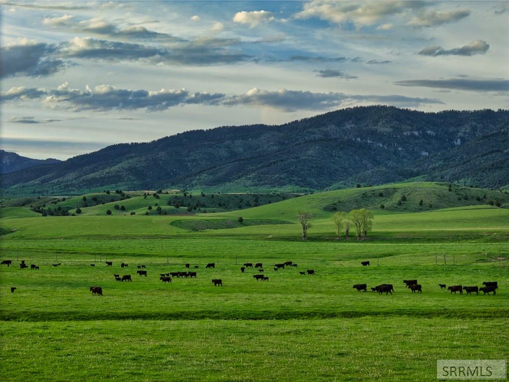 536 Ranger Station Swan Valley, ID 83449 - Photo 2 of 16