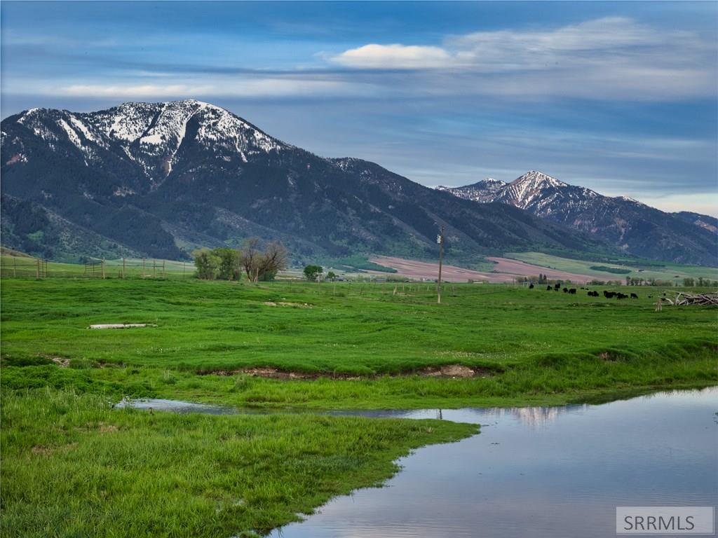 536 Ranger Station Swan Valley, ID 83449 - Photo 7 of 16
