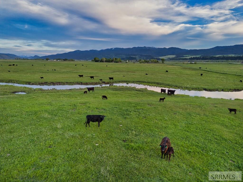 536 Ranger Station Swan Valley, ID 83449 - Photo 9 of 16