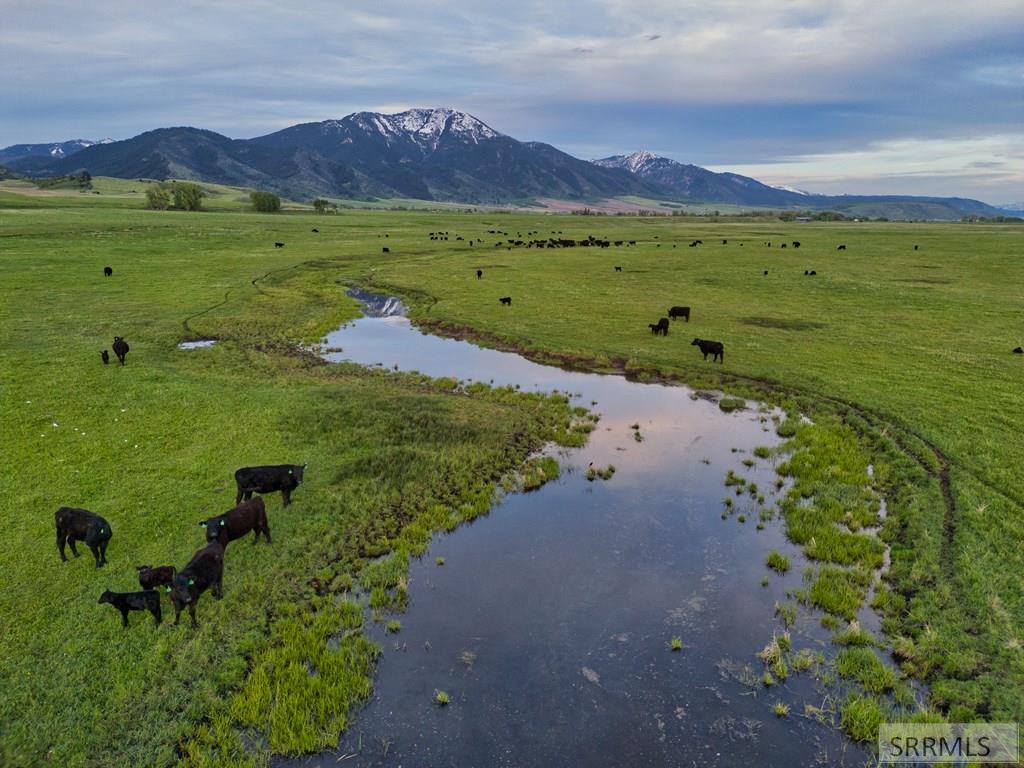 536 Ranger Station Swan Valley, ID 83449 - Photo 10 of 16