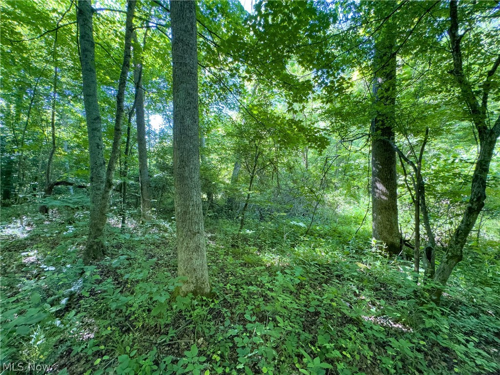 2 Jake Road Patriot, OH 45658 - Photo 9 of 20