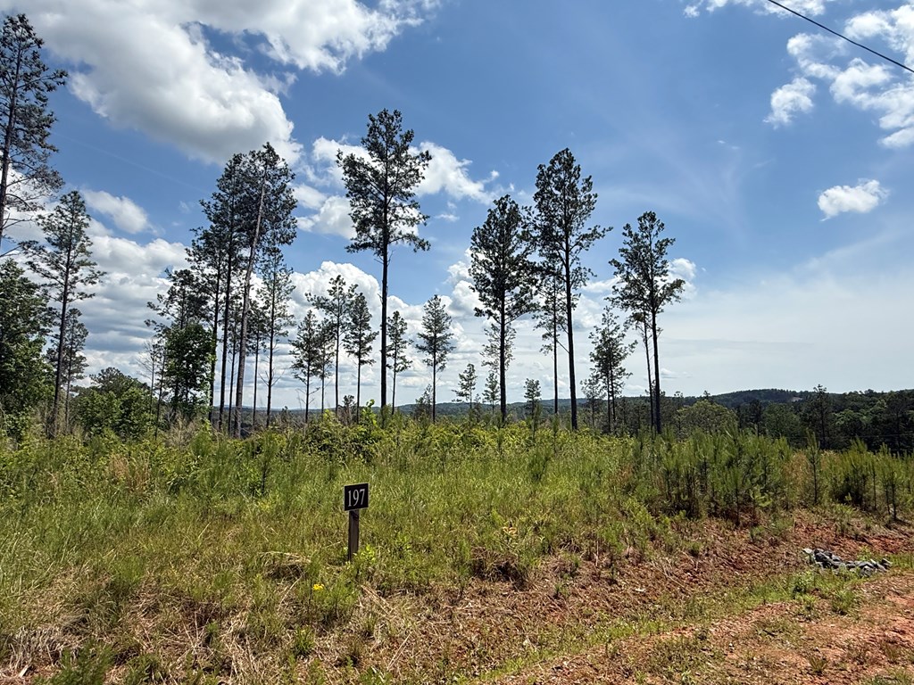 197 Blalock Mountain Road Talking Rock, GA 30175 - Photo 6 of 6 a view of a garden