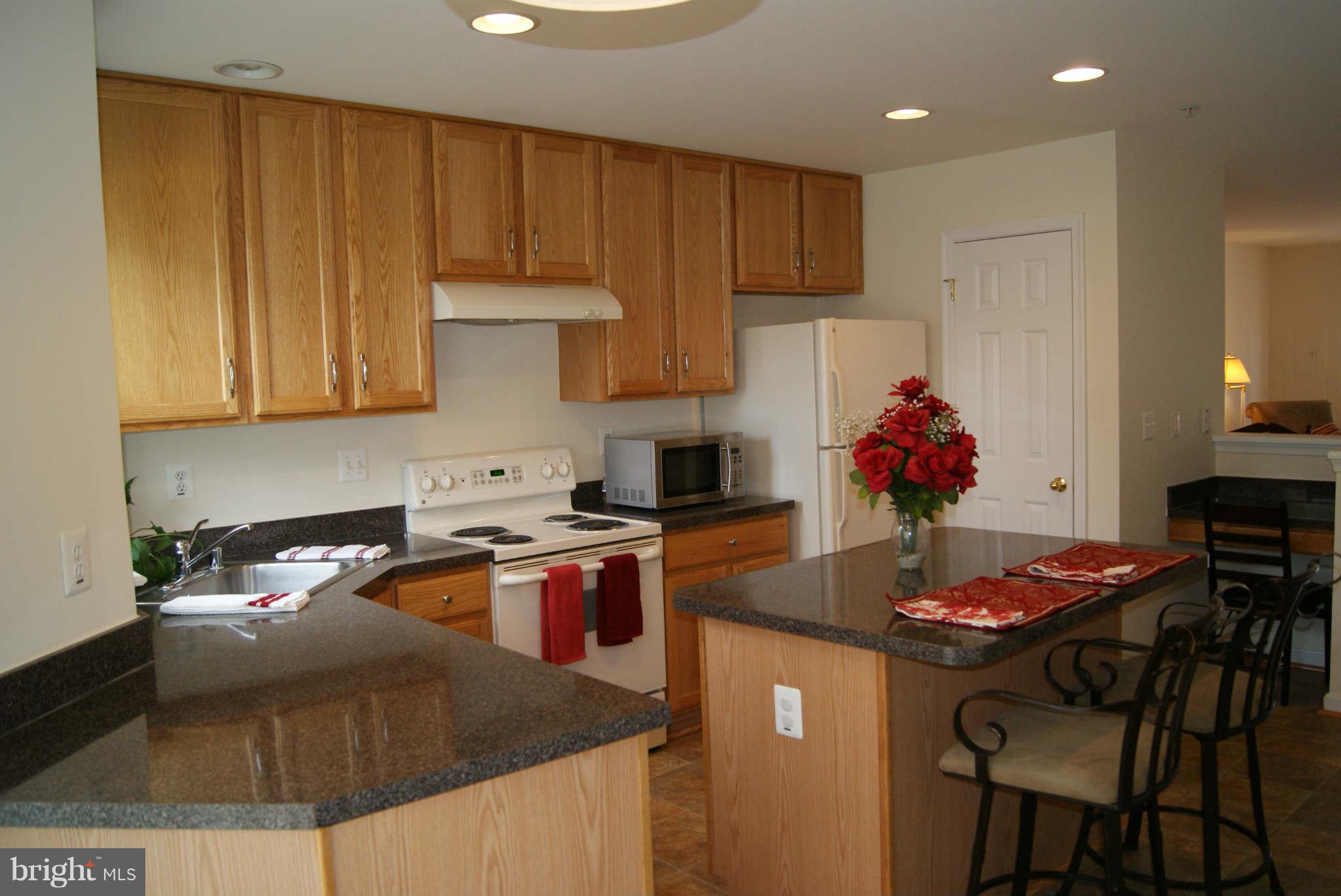 618 Tivoli Road Frederick, MD 21703 - Photo 2 of 22 Kitchen