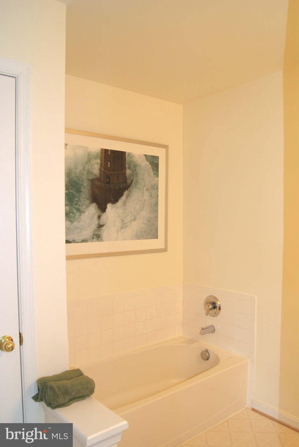 618 Tivoli Road Frederick, MD 21703 - Photo 16 of 22 Bath (Master)