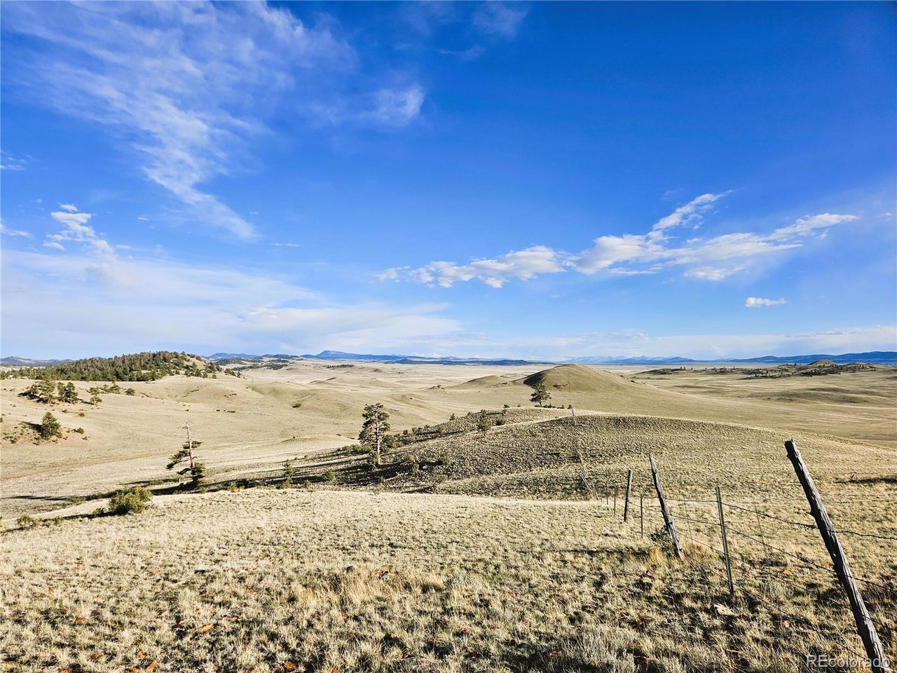 24142 Antero Road Hartsel, CO 80449 - Photo 25 of 48