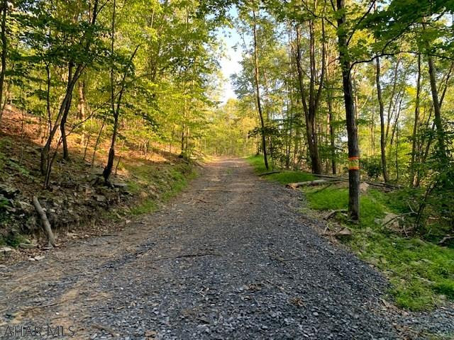 1009 A Six Mile Run Road Six Mile Run, PA 16679 - Photo 4 of 47 Gallery Image 4