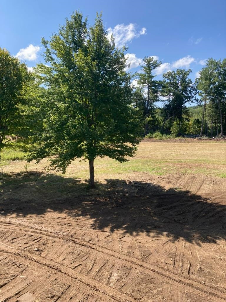 115 Warwick Road Winchester, NH 03470 - Photo 8 of 12