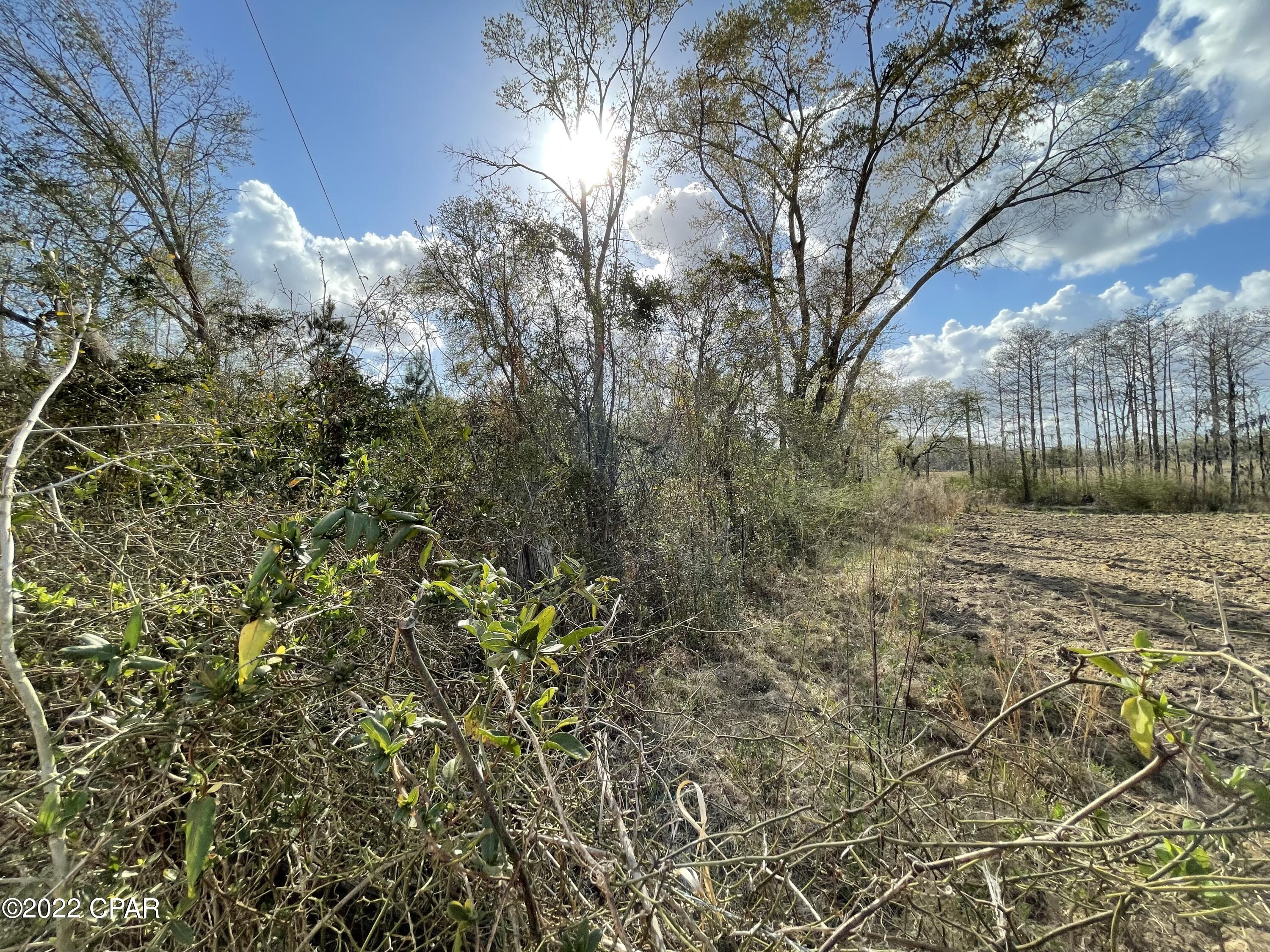 0 Overpass Road Cottondale, FL 32431 - Photo 7 of 12