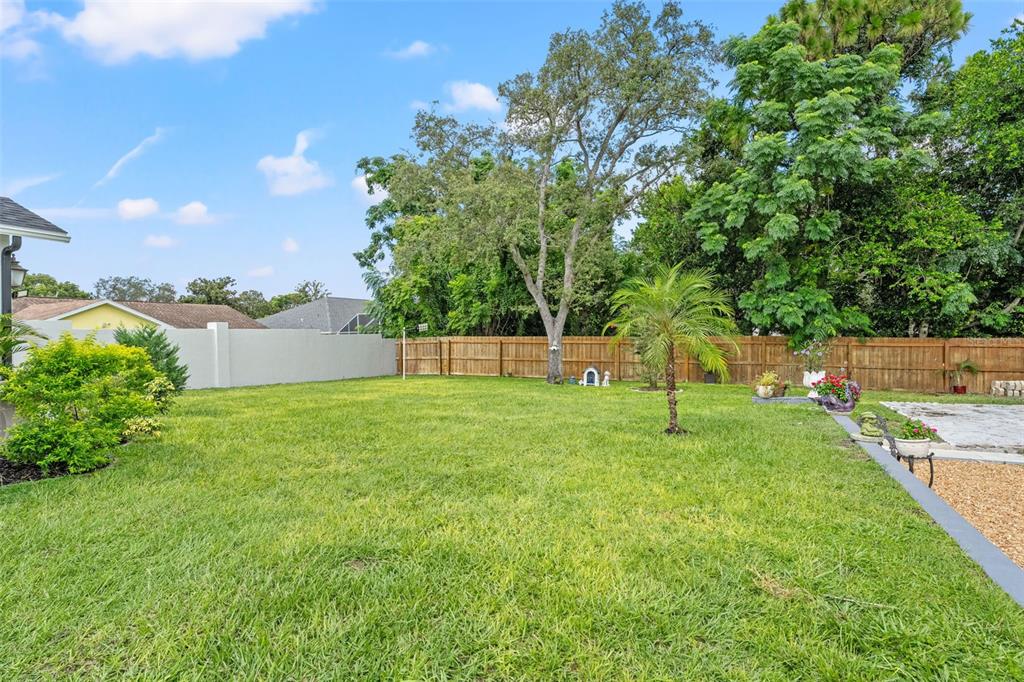 11487 Linden Drive Spring Hill, FL 34608 - Photo 27 of 42 a view of yard with green space and trees
