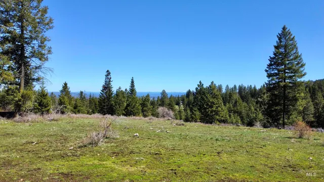 $325,000 | 2138-p 4 Old White Bird Hill Road, Grangeville, ID 83530