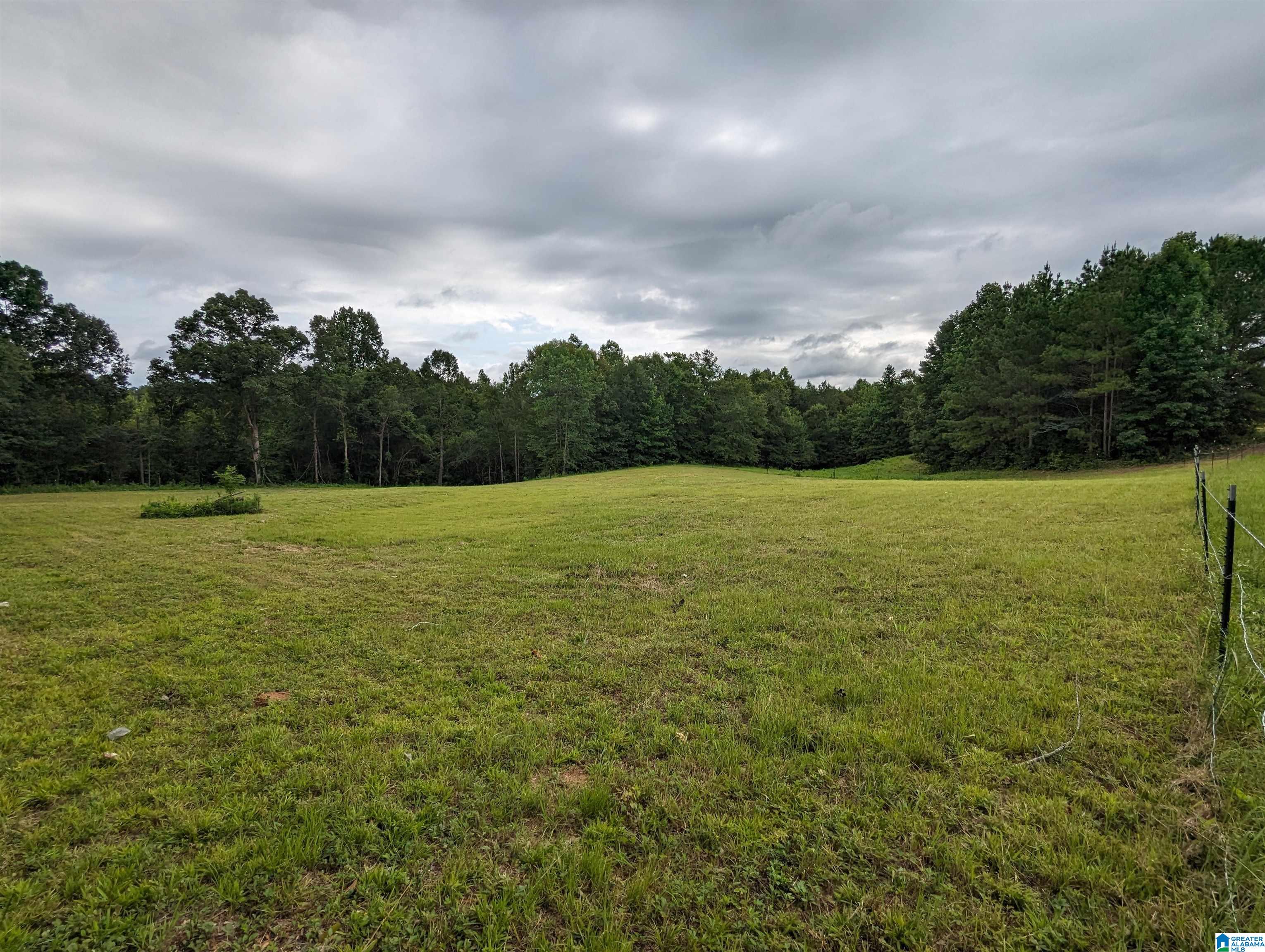 239 County Road 835 Clanton, AL 35046 - Photo 52 of 55