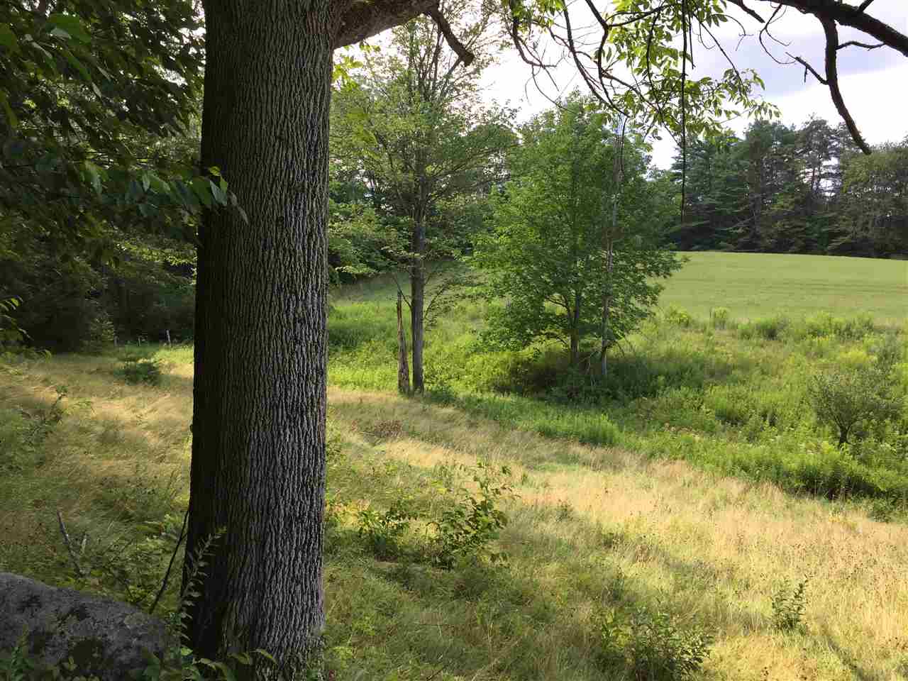 474 Will Dean Road Springfield, VT 05156 - Photo 5 of 26