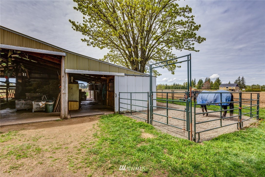 401 West Pole Road Lynden, WA 98264 - Photo 27 of 40 a view of a backyard with a large tree