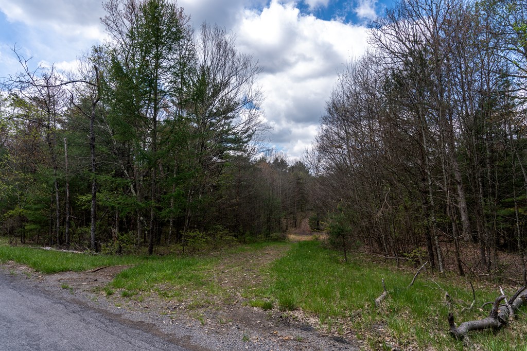 0 Huefner Spring Road Shippenville, PA 16254 - Photo 15 of 18 Gallery Image 15