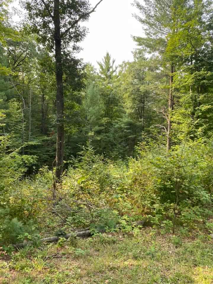 3355 Lund Road Southwest Fife Lake, MI 49633 - Photo 44 of 48 1880084-46.JPG