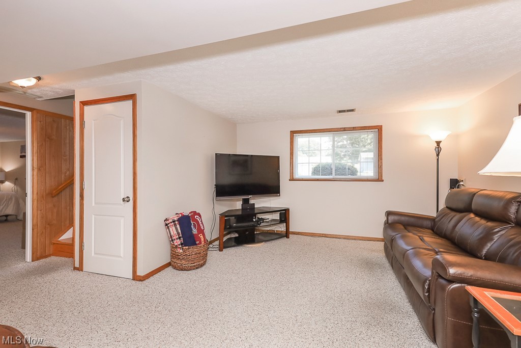 1826 Sandgate Road Madison, OH 44057 - Photo 15 of 29 Carpeted living room with a textured ceiling
