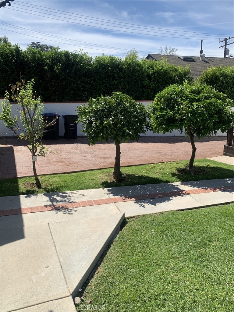 1718 Cleveland Road Glendale, CA 91202 - Photo 2 of 44 a view of yard with tree in the background