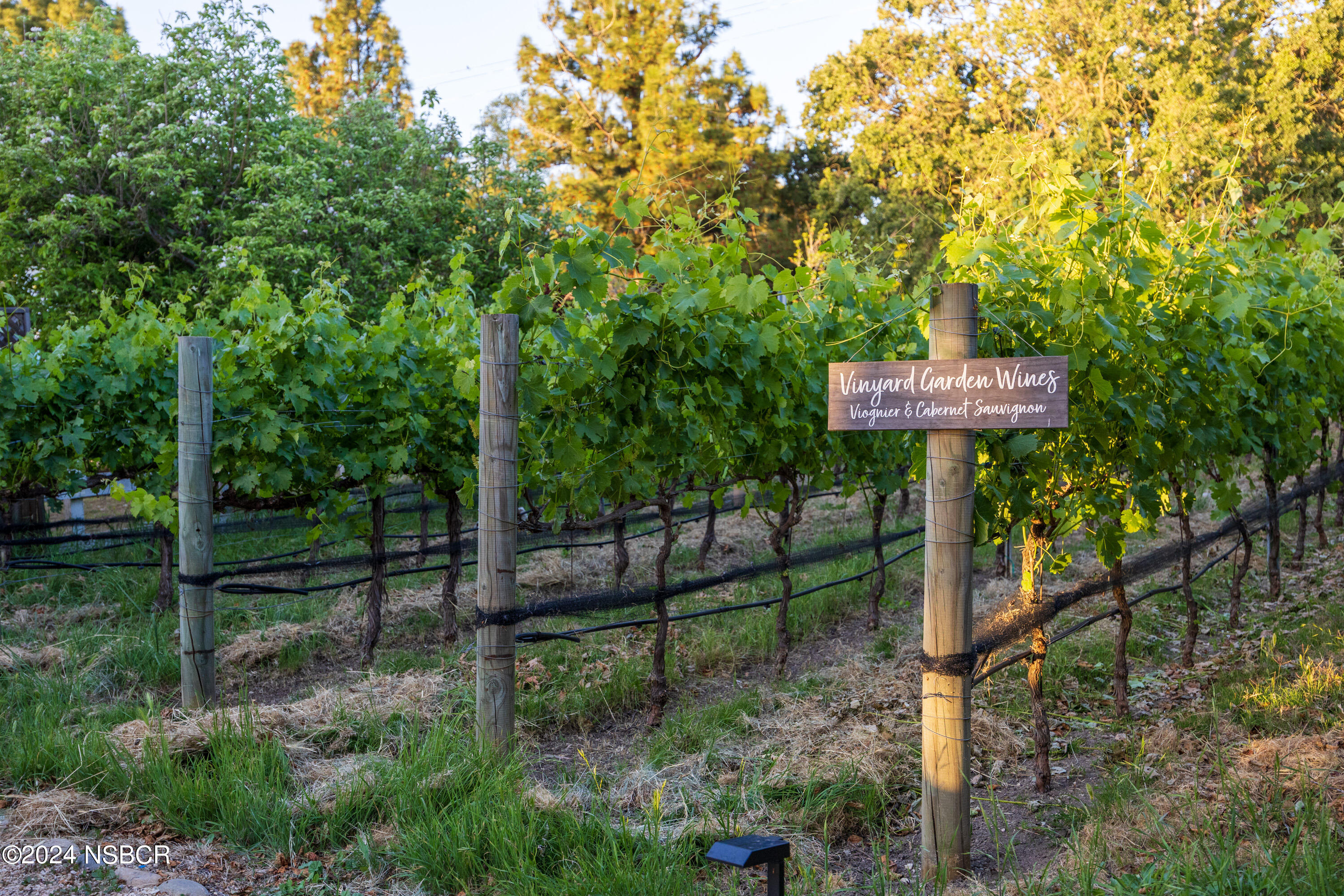 Undisclosed Address Santa Ynez, CA 93460 - Photo 39 of 43 Casa Calzada (39)