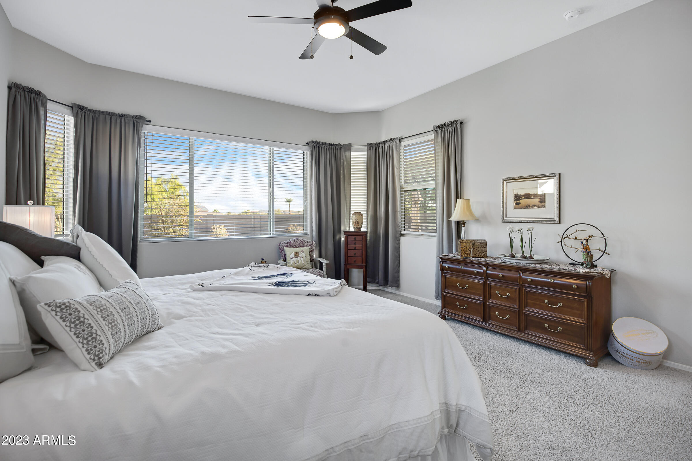 42869 West Mallard Road Maricopa, AZ 85138 - Photo 17 of 79 42869 W Mallard Rd-20