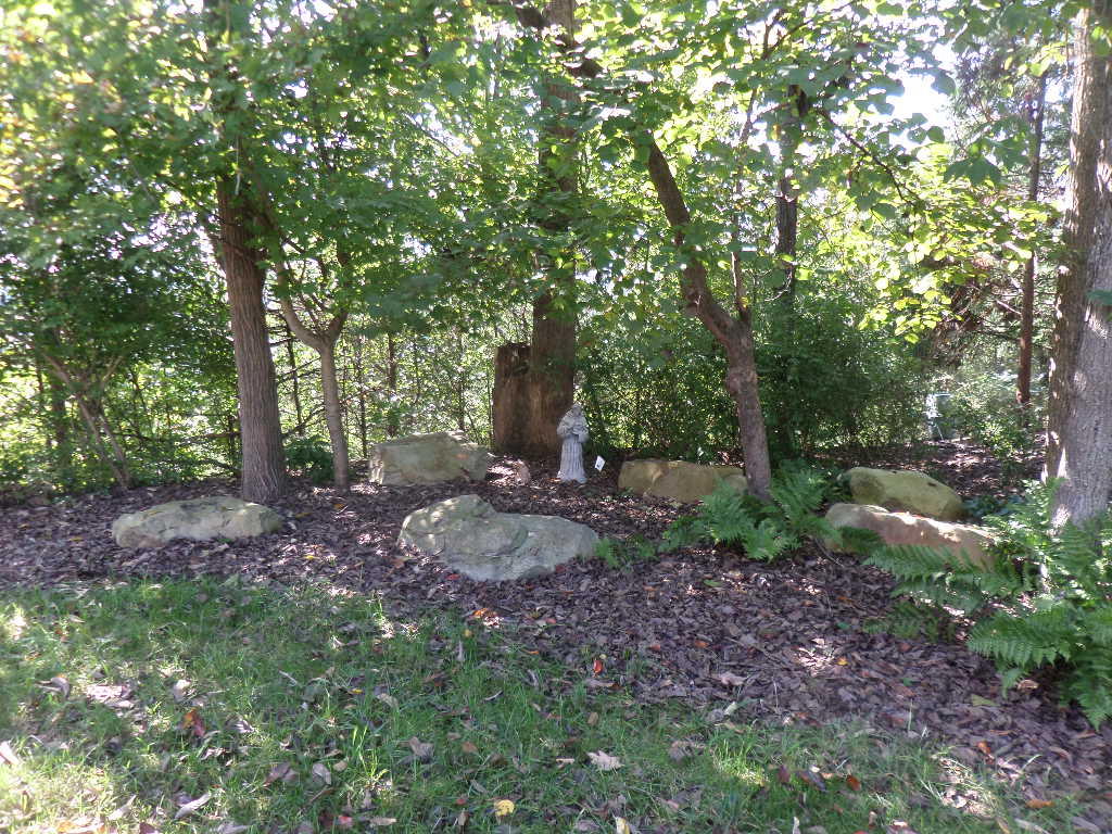 19 Rockingham Road Oak Ridge, TN 37830 - Photo 33 of 37 Back Yard