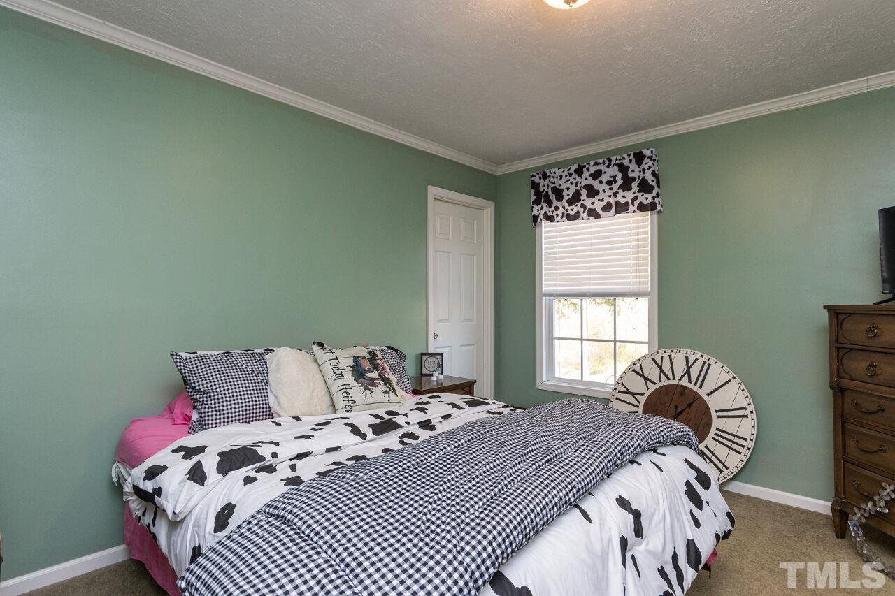 175 Williams Road Spring Hope, NC 27882 - Photo 20 of 30 a bedroom with a bed and a window