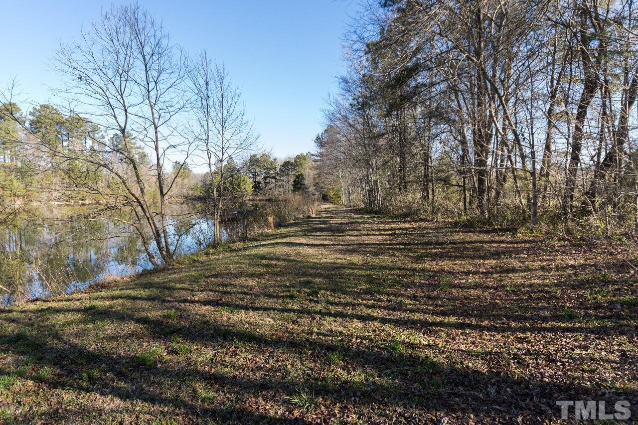 175 Williams Road Spring Hope, NC 27882 - Photo 28 of 30 a view of dirt yard with large trees