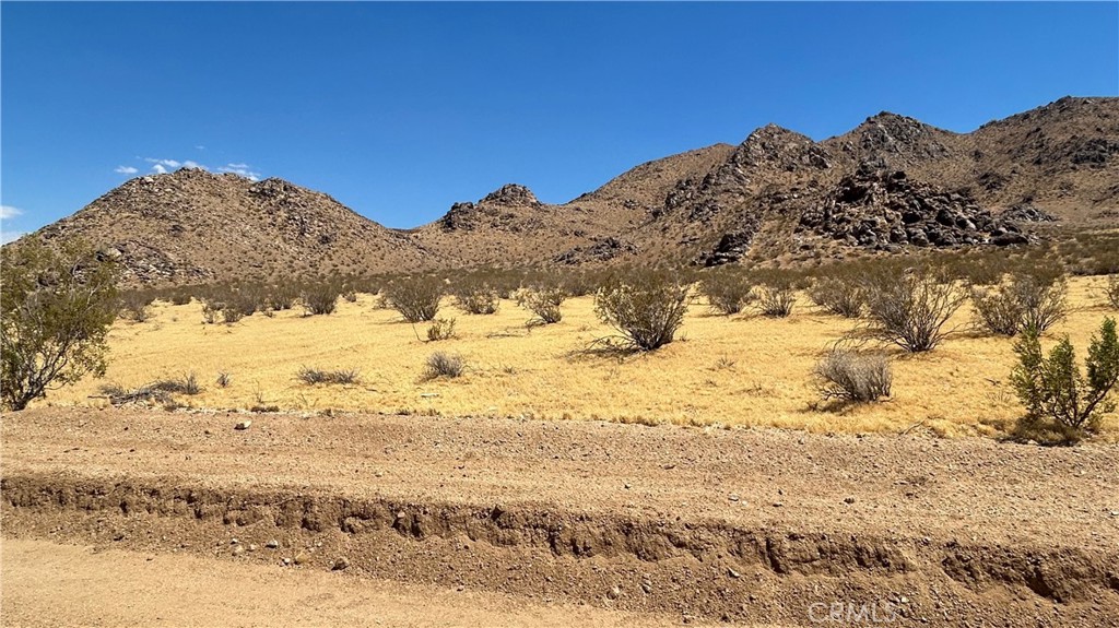 30455 Holmes Road Lucerne Valley, CA 92356 - Photo 2 of 11