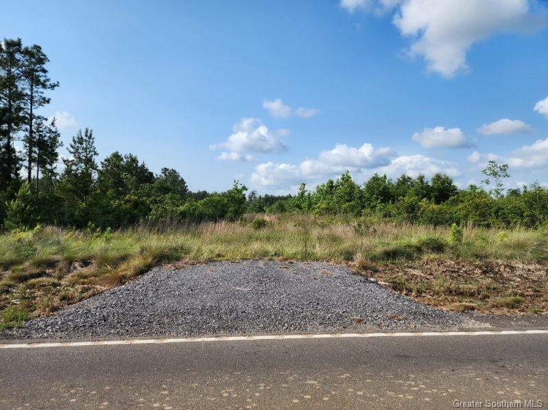 66 Rte 66 Road Dequincy, LA 70633 - Photo 1 of 9