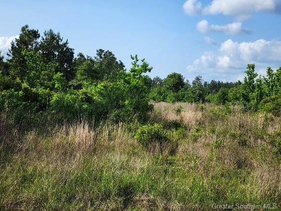 66 Rte 66 Road Dequincy, LA 70633 - Photo 2 of 9